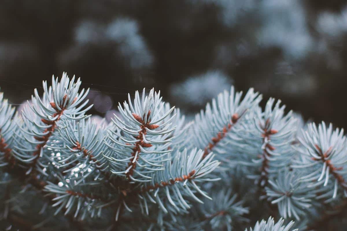 Trouver le jean parfait : conseils adaptés à votre morphologie