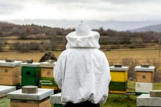 Devenir apiculteur débutant : l’aventure commence avec le bon matériel